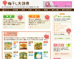 梅干し・梅の情報なら梅干し大辞典